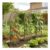 OUTSUNNY Garden Trellis: Decorative Panels with Dome Top Natural