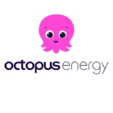 Octopus Agile – Negative pricing for electricity