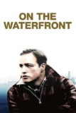 On the Waterfront (1954) 4K Dolby Vision To Buy