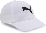 PUMA Unisex Ess Cap, Off-White (White-big cat), One Size
