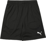 PUMA Unisex Kids Teamrise Training Shorts Jr Knitted Shorts