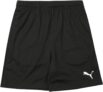 PUMA Unisex Kids Teamrise Training Shorts Jr Knitted Shorts