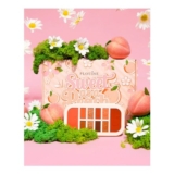 Peach Perfection Palette