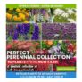 Perfect Perennial Collection