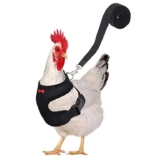 Pet Adjustable Harness Leash for Chicken / Puppy Comfortable Breathable Pet Vest for Small Dogs – Sold by GLB PET Store (Welcome Deal)