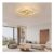 Pheashine Modern Ceiling Light LED