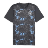 Puma Manchester City Pre Match Shirt 2024 2025 Adults