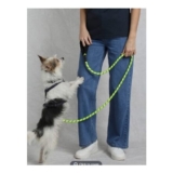 Reflective Rope Dog Lead Acid Lime