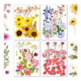 Reofrey 70-Pc Pressed Flowers Set for Crafts