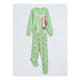 Roald Dahl BFG Green Long Sleeve Pyjamas