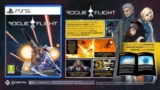 Rogue Flight PS5