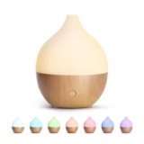 SALKING Essential Oil Diffuser, 100ml Ultrasonic Cool Mist Auto Shut-Off