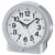Seiko Clock (with light & alarm function)