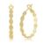 Senteria Gold Plated Twisted Hoop Earrings, 30mm CZ, Hypoallergenic