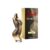 Shakira Dance Midnight Women Perfume Long-Lasting Floral Gourmand 50 Ml
