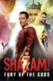 Shazam Fury Of The Gods – 4K Dolby Vision and Atmos