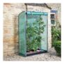 Smart Garden Tomato GroZone