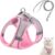 Soft Mesh Reflective Dog Harness & Leash Set – No Pull Escape Proof Step-in Vest for Small Medium Dogs, Puppies, Cats Night Walks (XS)
