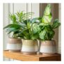 Stoneware Reactive Glaze Plant Pot Set of 3