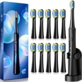 TEETHEORY Upgraded Version-Sonic Electric Toothbrush for Adults with 10 Brush Heads, by Demita dr store / FBA