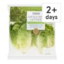 Tesco Little Gem Lettuce Twin Pack