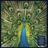 The Bluetones : Expecting to Fly VINYL 25th Anniversary 12 Album Box Set 3 Vinyl LPs – With Code – Sold by musicMagpie Shop