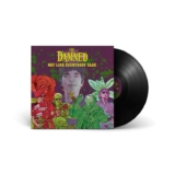 The Damned: Not Like Everyone Else, vinyl album