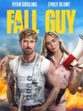 The Fall Guy (4K UHD) – To Buy – Prime Video