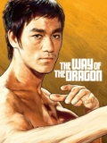 The Way of the Dragon – UHD – buy from Amazon Prime Video