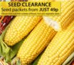 Thompson & Morgan SEED CLEARANCE – from only 49p a packet