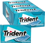 Trident Wintergreen Sugar Free Chewing Gum with Xylitol 14 Sticks 39 g