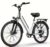 Urlife E26 750W Tires 36V 13Ah 26×2 Removable LCD Display Speed 7-Speeds (with code) – COADAN ANCO LTD-3 Store