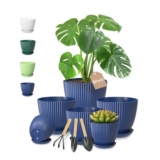 VASZOLA Blue Plastic Plant Pots with Drainage Saucer Set 6
