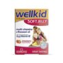 Vitabiotics Wellkid Soft Jelly Pastilles Strawberry 30 Chews