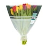 Waitrose Harlequin Tulip Bouqueteach
