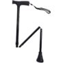 Walking Stick – Black (Free C&C)