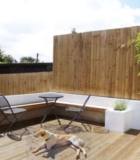 Wickes Feather Edge Fence Board – 100 x 11mm x 1.5m – Pack of 10 – Free C&C