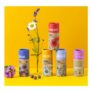 Wildflower Collection (Set of Five)-Seed Balls