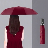 Windproof Travel Umbrella – Automatic Compact Folding Umbrella (Win Red) £1.28 for new buyers Amazon Haul