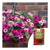 YouGarden Pair of Pre-Planted Hanging Baskets & Fertiliser