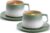 ZENS Cappuccino Cups and Saucers Set of 2, 240 ml Gradient Ceramic Cappuccino Mug for Au Lait, Moss Green Artistic Embossed Cappuccino Coffee Cups for Latte Art, Cafe Mocha or Tea, Baristas Gifts