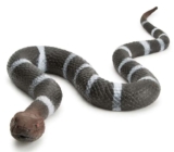 Zappi Co Snake Squad Banded Snake Toy – 58cm