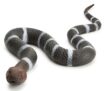 Zappi Co Snake Squad Banded Snake Toy – 58cm