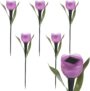 ausuky 6 Pcs LED Solar Light Outdoor Garden Tulip Flower Shape Yard Standing Decor Lights (purple)