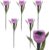 ausuky 6 Pcs LED Solar Light Outdoor Garden Tulip Flower Shape Yard Standing Decor Lights (purple)